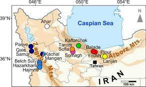 Image result for pfanzelt tehron