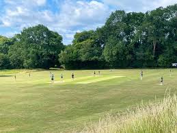 Image result for Bradfield Cricket Club