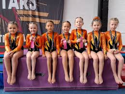 Image result for Kestrel Gymnastic Group