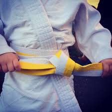 Image result for Craiglockhart Judo Club