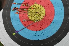 Image result for Surrey Bowmen