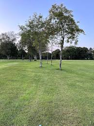 Image result for Cheadle Golf Club