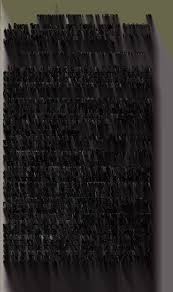 Attēlu rezultāti vaicājumam “Strongylosoma pallipes”