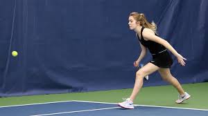 Image result for Moorland Tennis Club