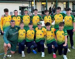 Image result for North Down Cricket Club