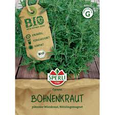 Image result for Bohnenkraut