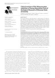 Attēlu rezultāti vaicājumam “Amaurochaete fusiformis spores”