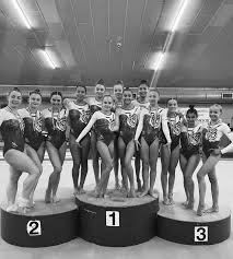 Image result for Amber Valley Gymnastics Club