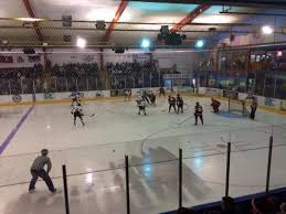 Image result for Milton Keynes Thunder