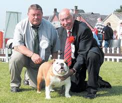 Image result for Banbury Bulldogs