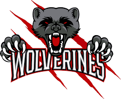 Image result for West Coast Wasps Skater Hockey Club