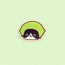 Image result for limecat