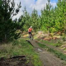 Image result for Woodhill Riding Club