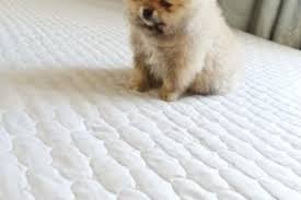 Image result for site:buyreklama.ru/*