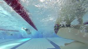 Image result for Derwentside Asc