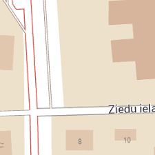 Attēlu rezultāti vaicājumam “Dryophilocoris flavoquadrimaculatus imago”