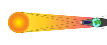 Attēlu rezultāti vaicājumam “Panolis umbra”