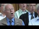 Jacques Marcus Bas: Pieter