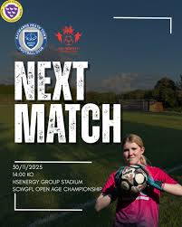 Image result for Haywards Heath Town Ladies Football Club