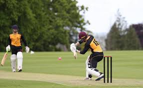 Image result for Downpatrick Cricket Club