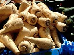 Image result for Pastinake