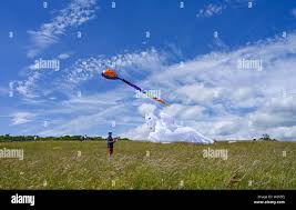 Image result for Brighton Kite Fliers