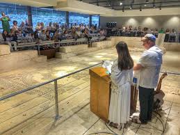 Image result for seppi tehron