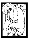 Badger coloring page