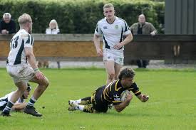 Image result for North Dorset Rugby Football Club