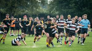 Image result for Farnham Rugby Union Football Club