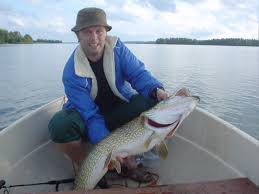 Image result for Esox lucius