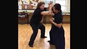Image result for Budo Warrior Schools