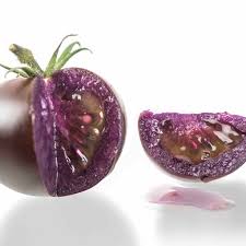 Afbeeldingsresultaat voor 1884 purple tomato