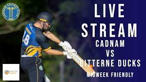 Image result for Cadnam Cricket Club