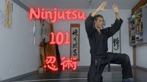 Image result for M-S-N Ninjutsu (Bujinkan) Club