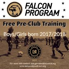 Image result for Falcon Sa Club