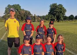 Image result for Odiham & Greywell Cricket Club