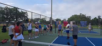Image result for BrownMoor Park Tennis & Social Club