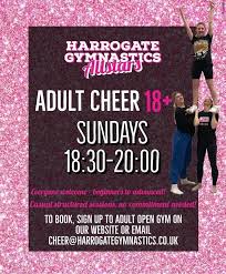 Image result for Harrogate School Of Gymnastics