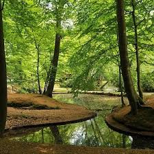 Image result for sonsbeek park
