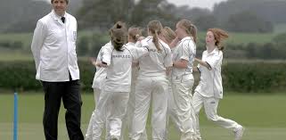 Image result for Alberbury Cricket Club
