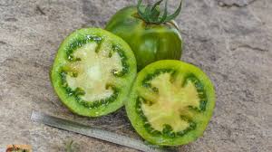 Afbeeldingsresultaat voor marmande jaune tomato