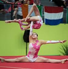 Image result for Sports Acro