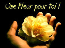 Une fleur pour toi