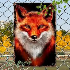 Image result for biker fox