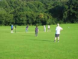 Image result for Balcombe Stoolball Club