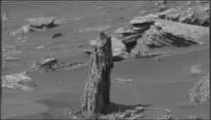 Image result for mars trees