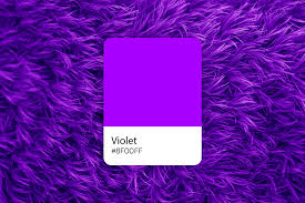 Image result for violet