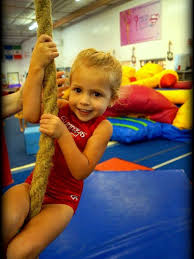 Image result for Phoenix Gymnastics