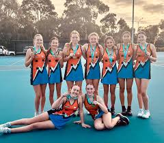 Image result for Camelot Netball Club